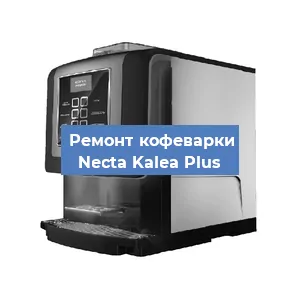 Замена ТЭНа на кофемашине Necta Kalea Plus в Челябинске